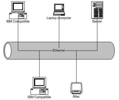 Компьютерная сеть